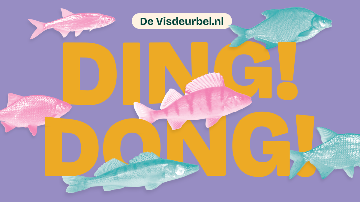 Utrecht's Fish Doorbell: A Global Livestream Saving Underwater Migrants